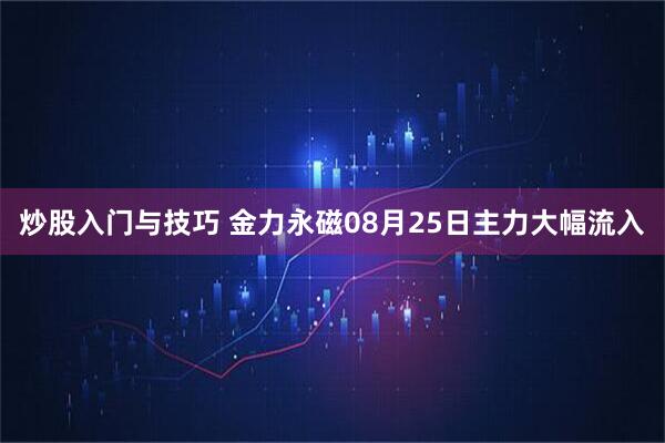 炒股入门与技巧 金力永磁08月25日主力大幅流入