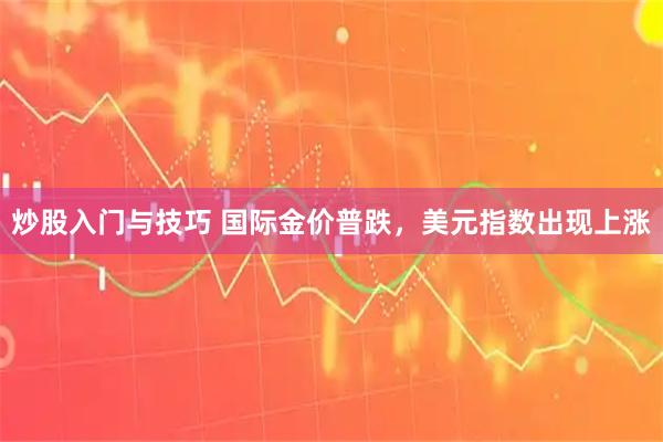 炒股入门与技巧 国际金价普跌，美元指数出现上涨