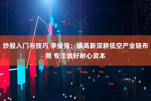 炒股入门与技巧 李俊强：镇高新深耕低空产业链布局 专注做好耐心资本